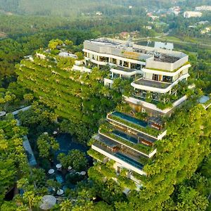 Flamingo Resort Dai Lai